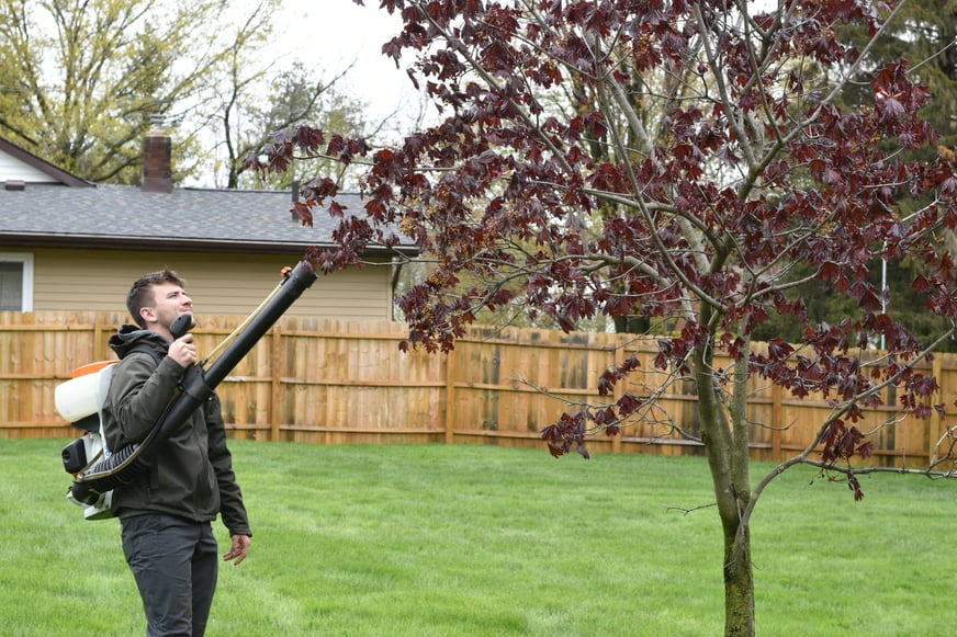 Crew spraying in trees for mosquitoes in backyard