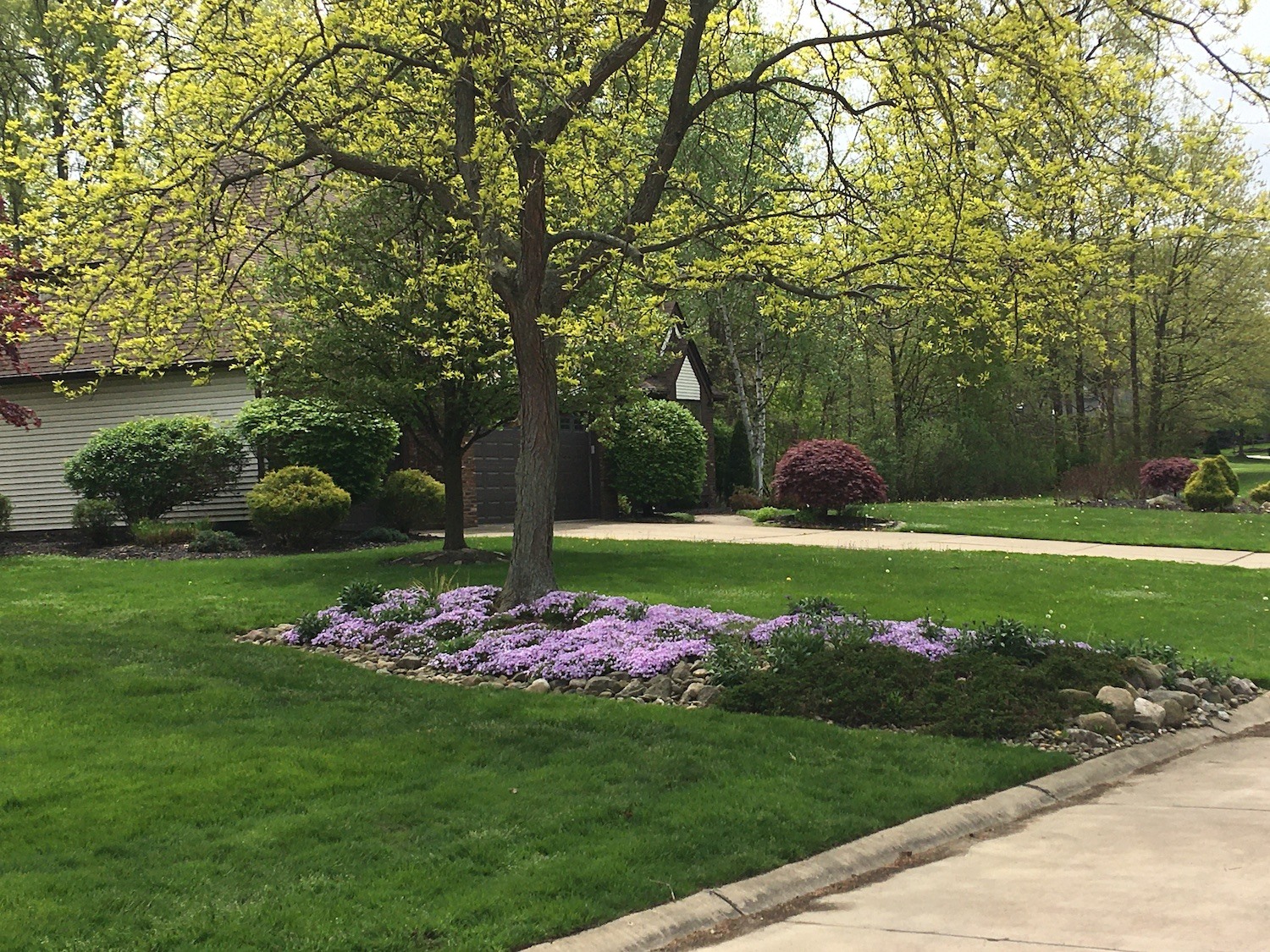 Green grass and blooming trees and flowers 