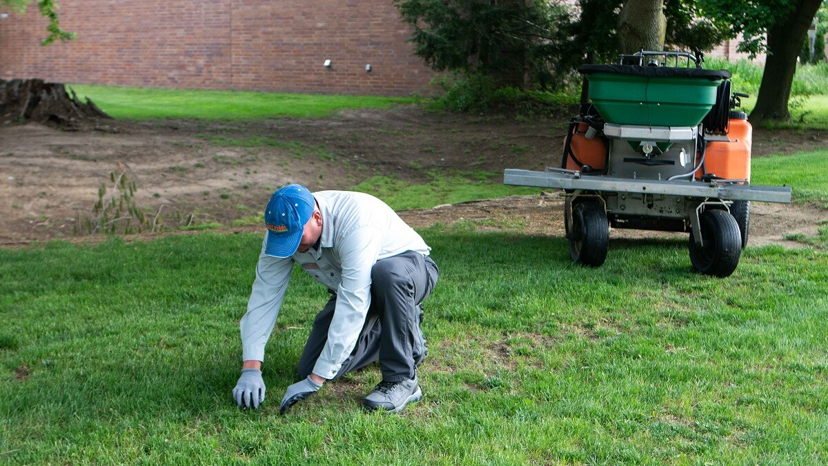 Crew inspecting lawn for damage