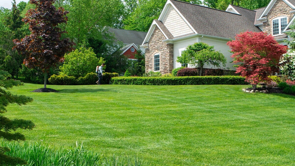 lawn technician spraying grass