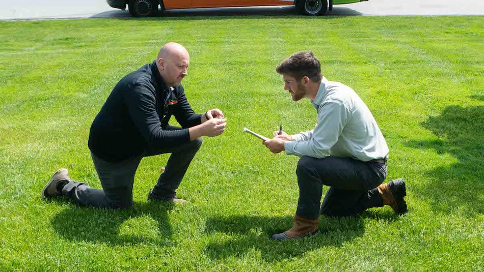 technicians inspecting lawn