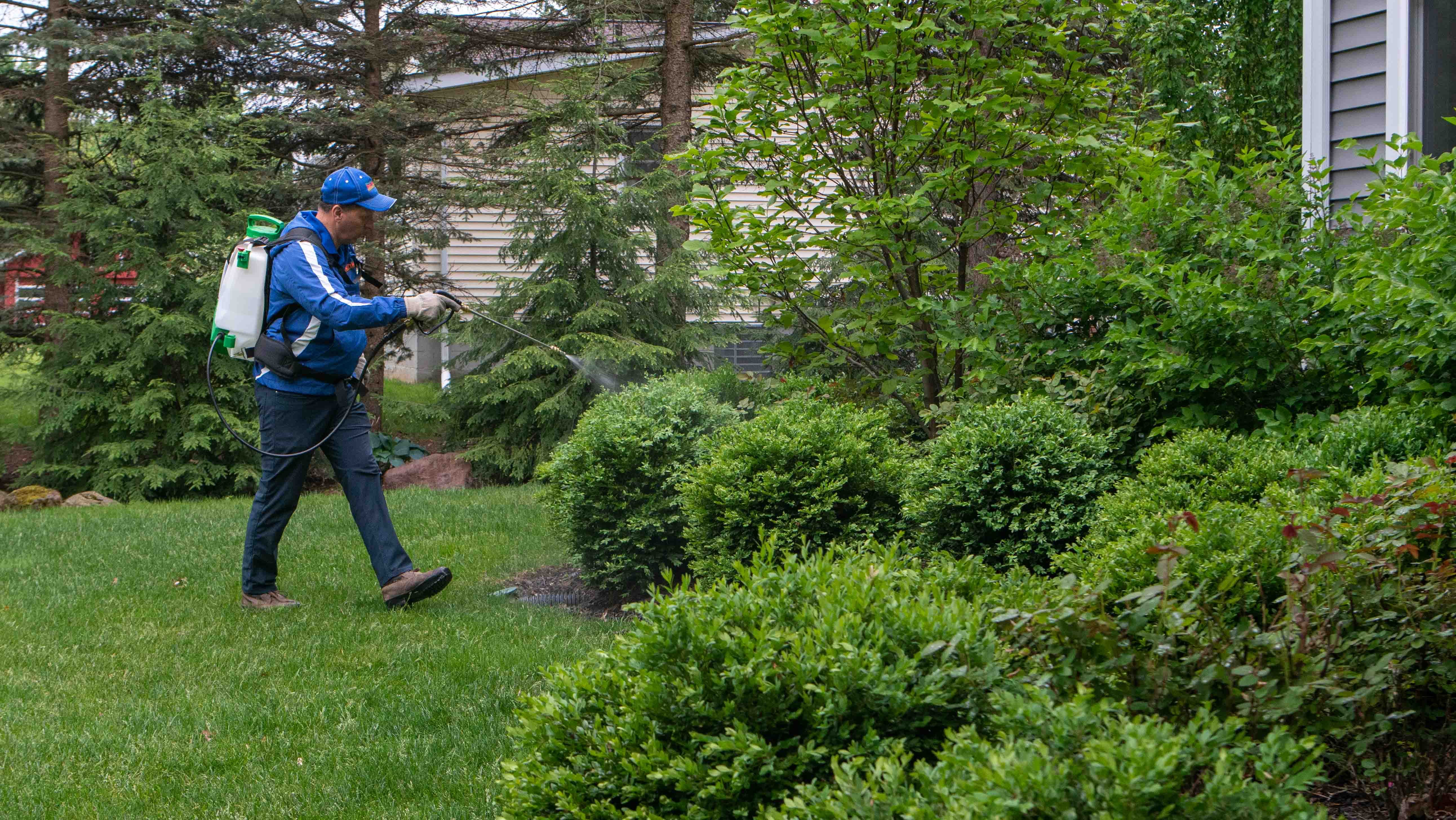 technician spraying bushes outside of home 