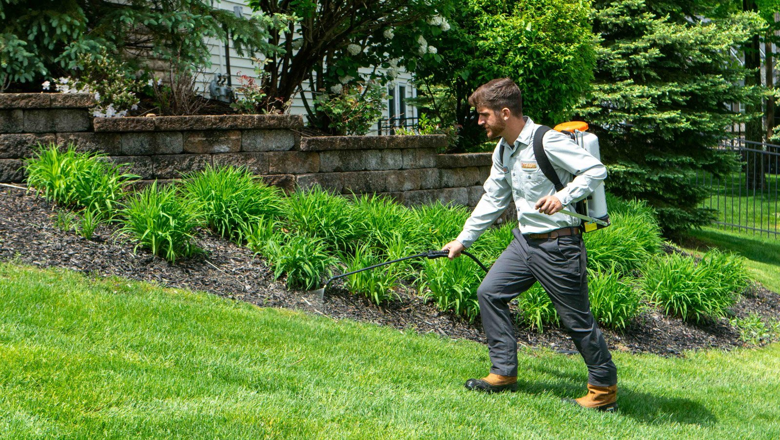 crew spraying lawn