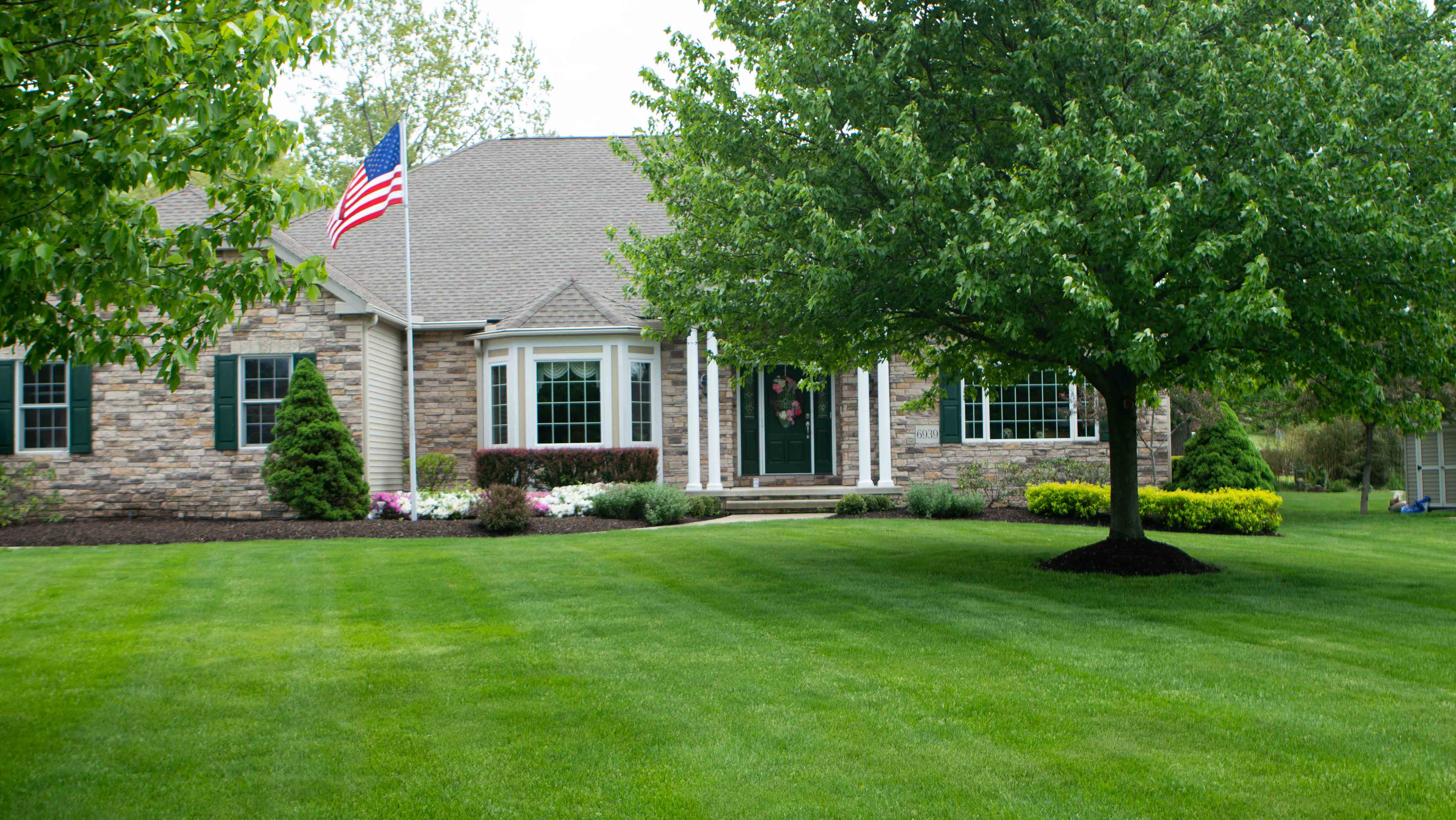 front of home green lawn with large tree