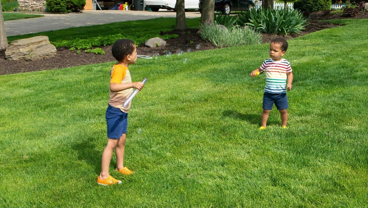 kids playing in lawn with green grass