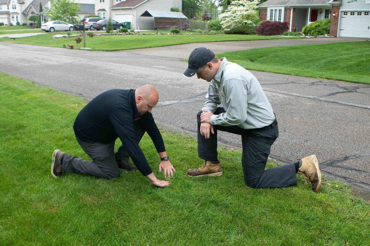 looking closely at grass with technician