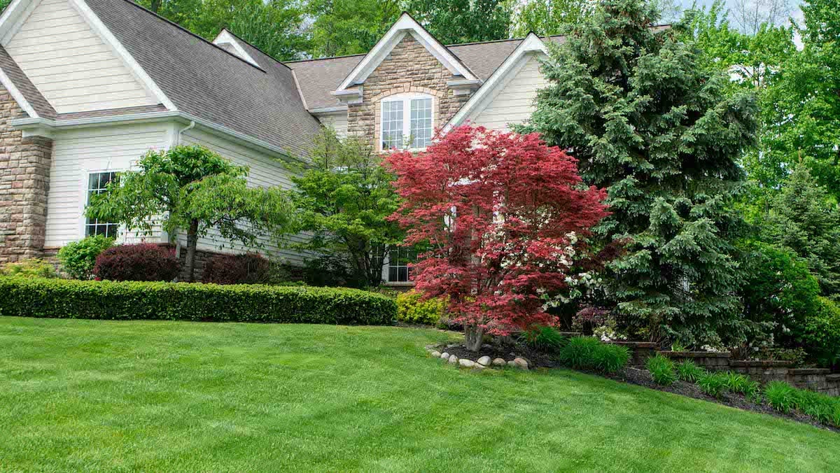 Home with nice looking lawn and yard