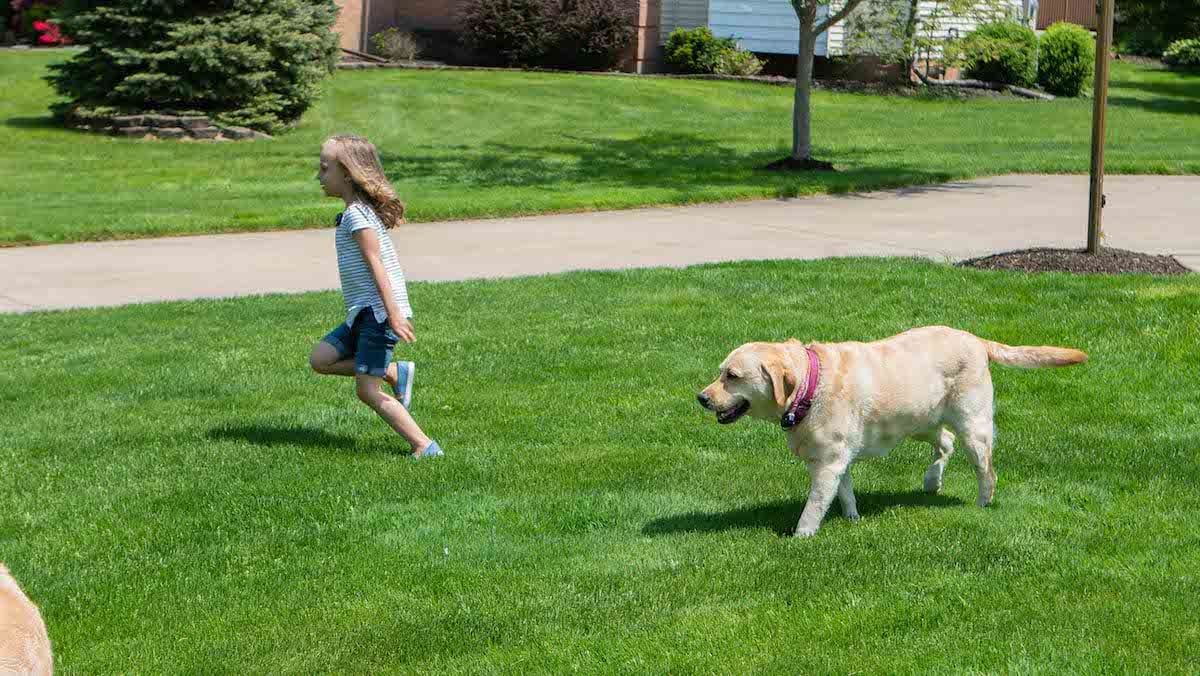 kid and dog playing in nice looking lawn