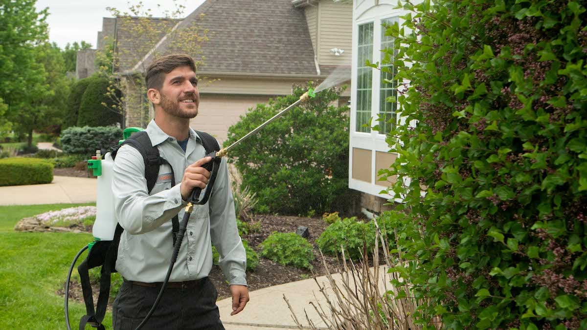 technician spraying shrubs and trees