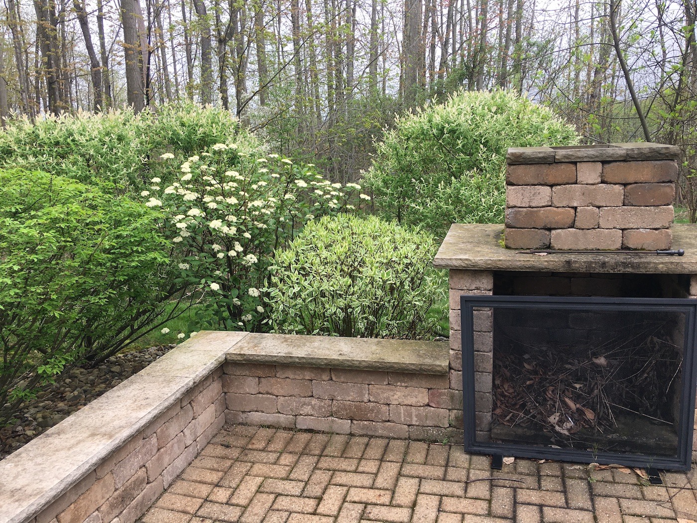 Plant health care bushes along patio 