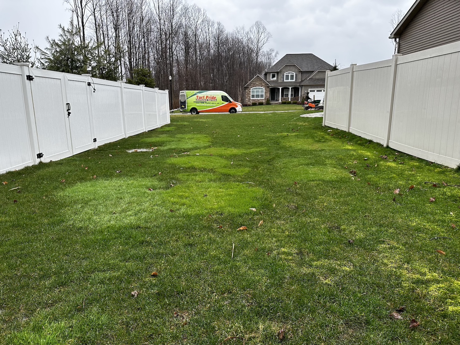 Bentgrass patches in lawn turf pride truck in background