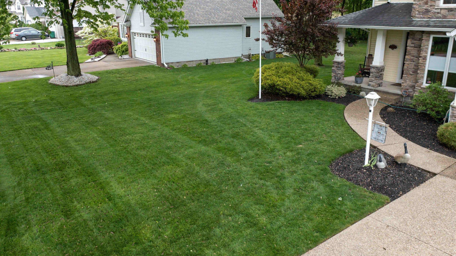 green thick lawn front yard 