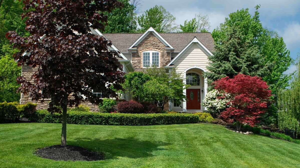 front lawn with trees changing colors for fall next to house