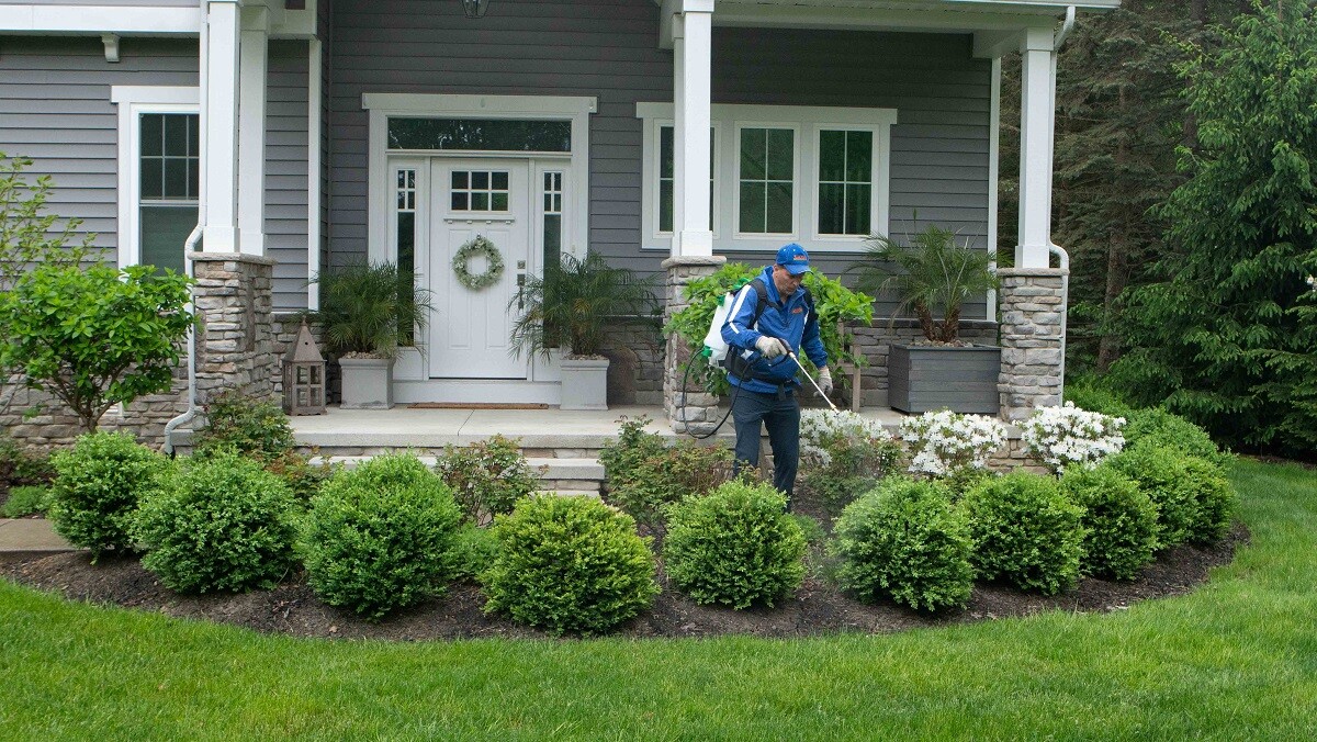 Technician spraying bushes in front of home 