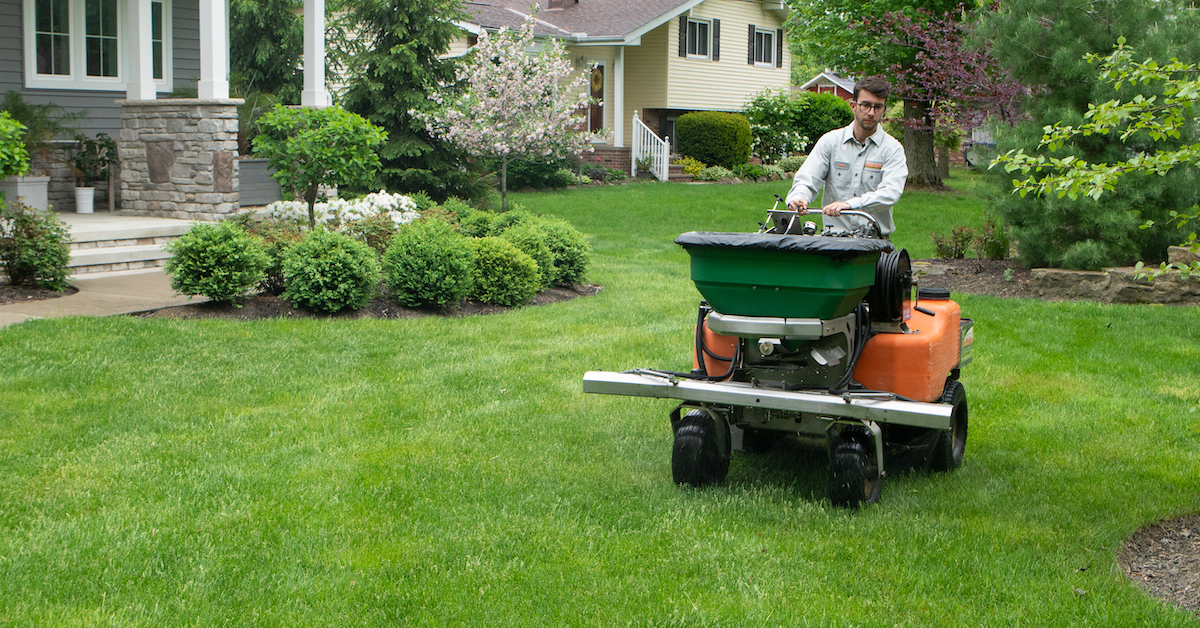 Lawn-care-customer-grass-3